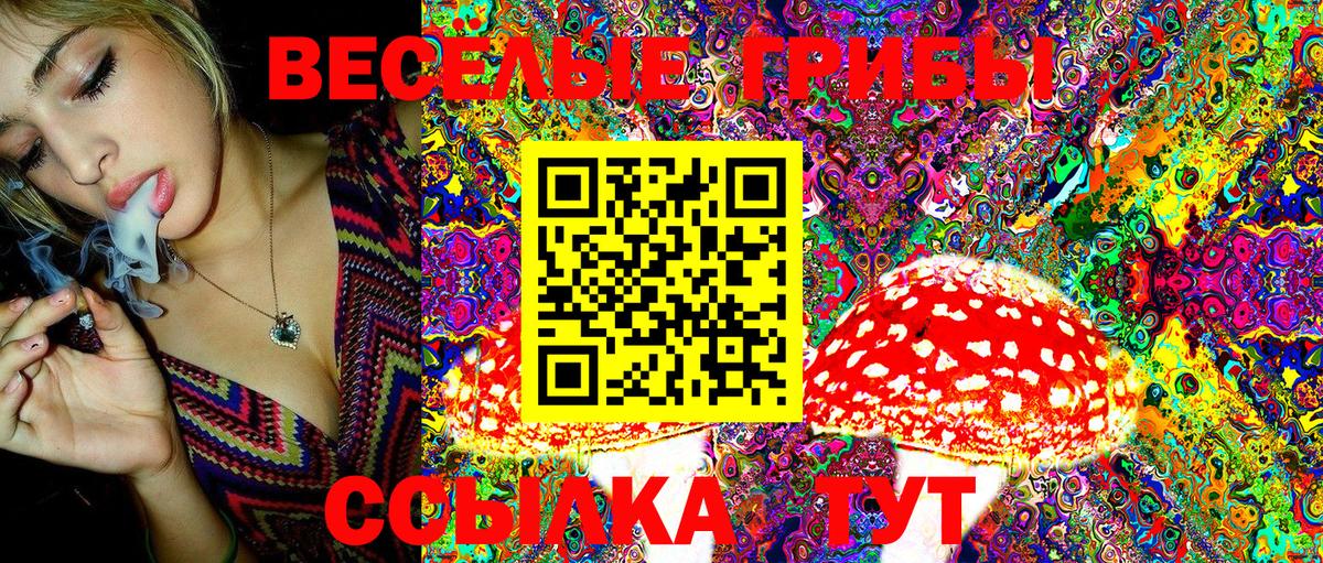 купить наркотики сайты  Псилоцибиновые грибы Psilocybe  Вход с VPN  Белово 